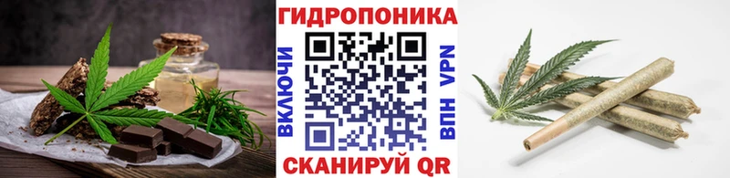 Canna-Cookies марихуана  Купить где  Соль-Илецк 