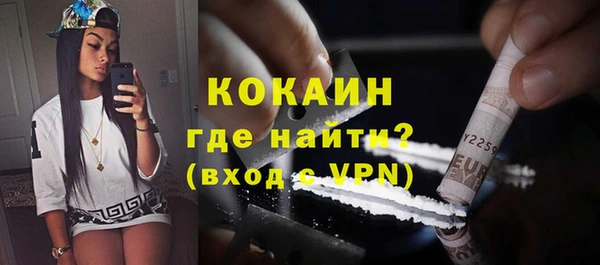 гидра Снежногорск