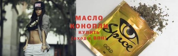 гидра Снежногорск