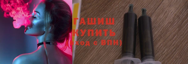гидра Снежногорск