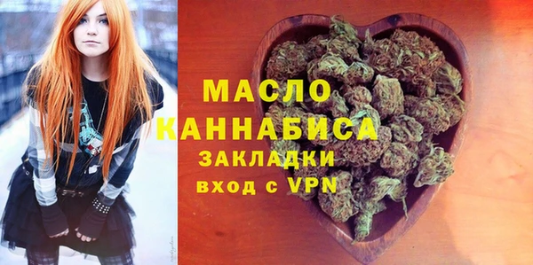 гидра Снежногорск