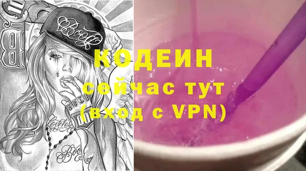 гидра Снежногорск