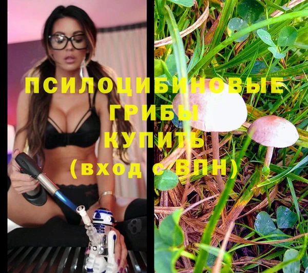 МДМА Снежинск
