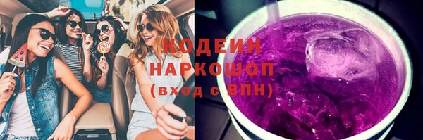 гидра Снежногорск