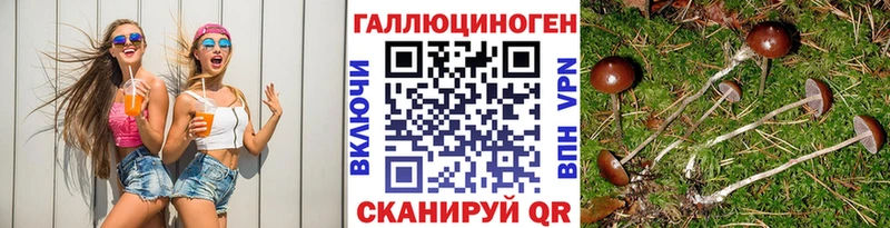 Купить где  Соль-Илецк  Псилоцибиновые грибы прущие грибы 
